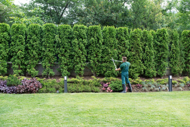 Best Commercial Tree Services  in Turpin Hills, OH